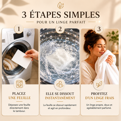Feuilles de lessive